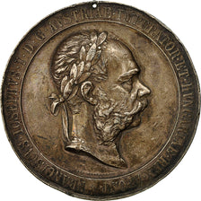 Austria, Medal, François Joseph Ier, Empereur, 1902, Tautenhayn, EF(40-45)