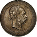 Autriche, Medal, François Joseph Ier, Empereur, 1902, Tautenhayn, TTB, Argent