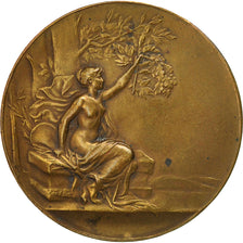 Francia, Medal, Art Nouveau, Femme nue, Pillet, EBC, Bronce