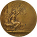 Francia, Medal, Art Nouveau, Femme nue, Pillet, EBC, Bronce