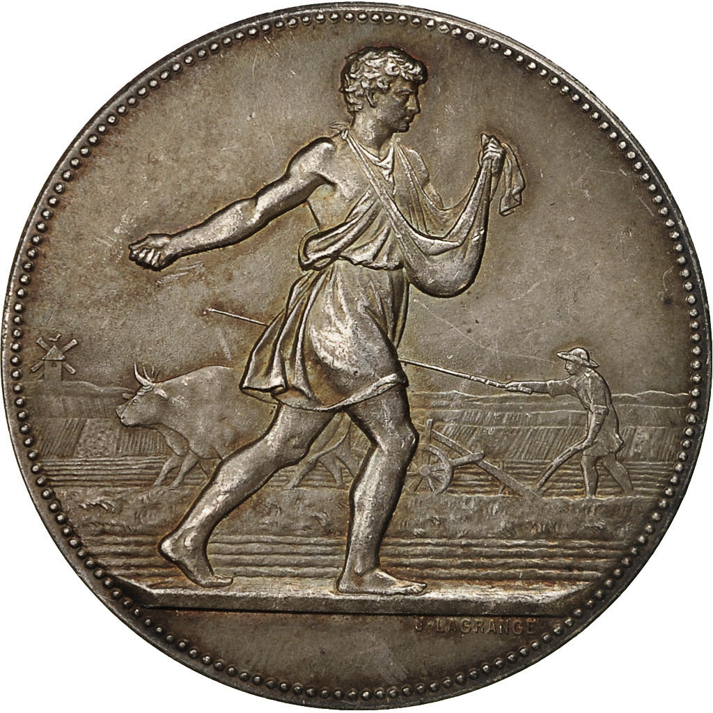 Francia, Medal, Comice Agricole du Canton de Carvin, 1873, Lagrange, SPL