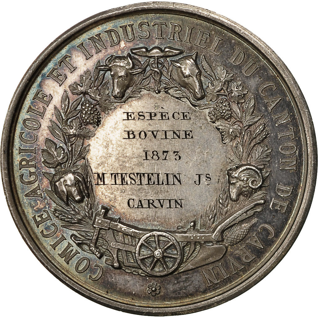 Francia, Medal, Comice Agricole du Canton de Carvin, 1873, Lagrange, SPL