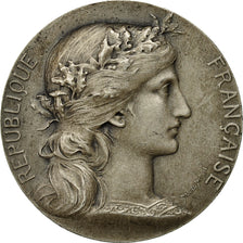 France, Medal, Marianne, Chambre de Commerce de Rouen, Dupuis.D / Dubois.H
