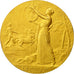 Francia, Medal, Art Nouveau, la Musique, Grandhomme, SPL, Bronzo dorato