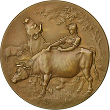 France, Medal, Comice Agricole de Rémirémont, 1898, Rivet, SUP+, Bronze