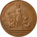 Frankreich, Medal, Société Centrale d'Agriculture de l'Yonne, Bescher, VZ+