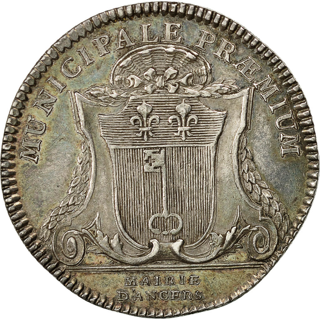 France, Token, Louis XV, Anjou-Noblesse, Louis Stanislas Xavier, 1773