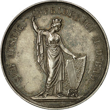 Germany, Medal, Baden School, Friedrich Ier, 1861, AU(50-53), Silver