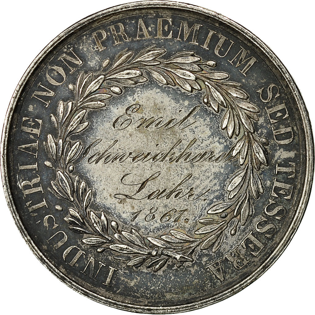 Germany, Medal, Baden School, Friedrich Ier, 1861, AU(50-53), Silver