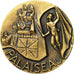 France, Medal, Ville de Palaiseau, Pichard, SPL, Bronze