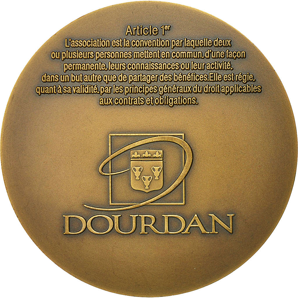 France, Medal, Ville de Dourdan, 2001, MS(60-62), Bronze
