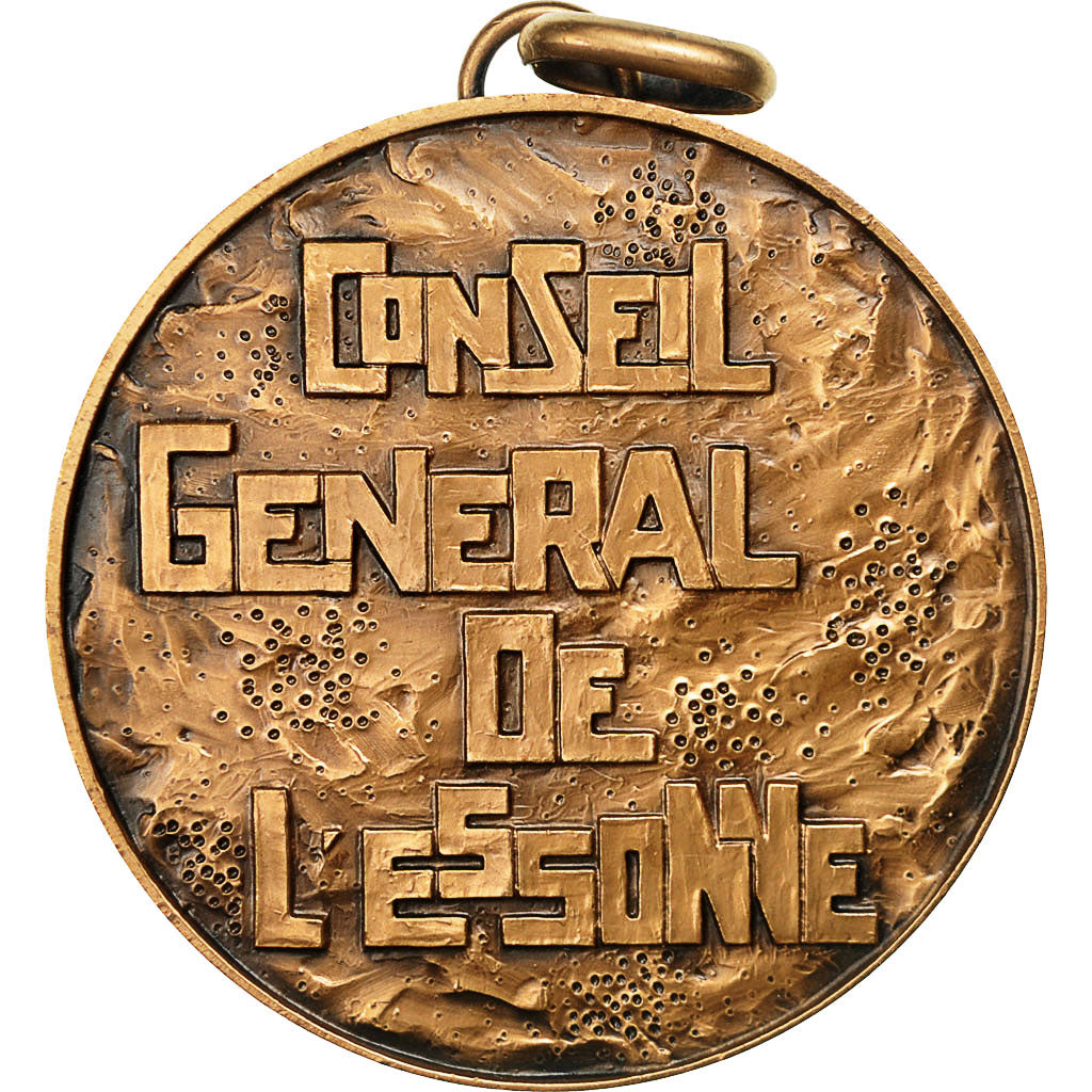France, Medal, Conseil Général de L'Essonne, MS(63), Bronze
