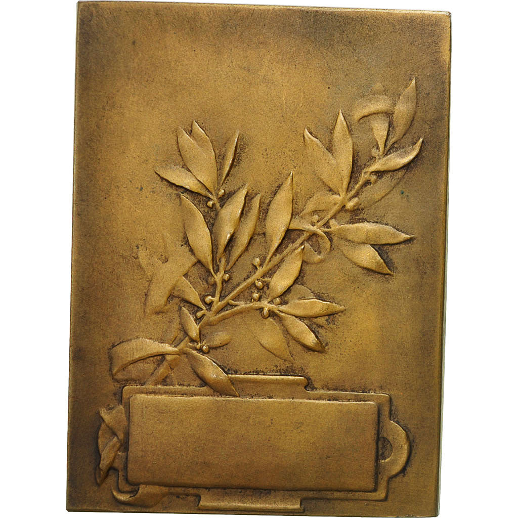 France, Medal, Art Nouveau, Femme Assise, Pillet, TTB+, Bronze