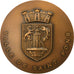 Frankreich, Medal, Ville de Saint Fons, 1973, VZ, Bronze