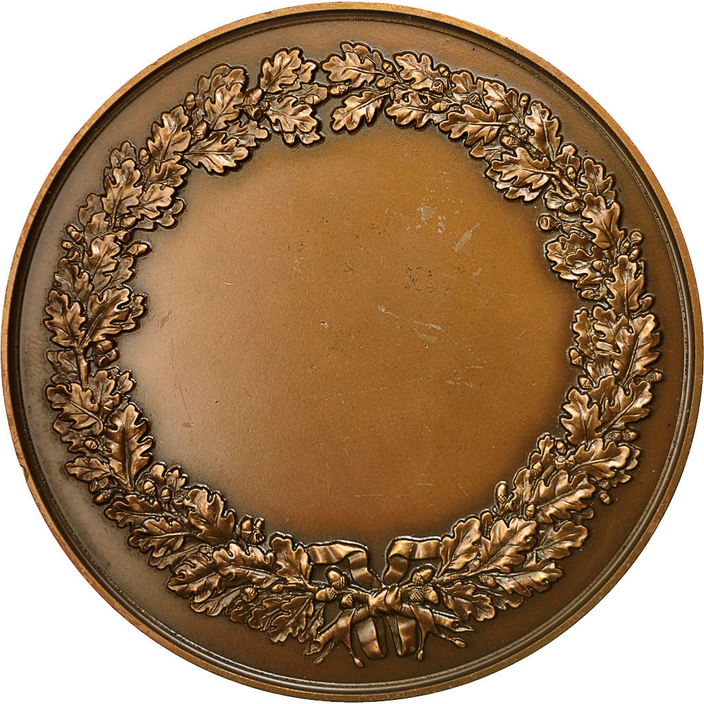 Frankreich, Medal, Ville de Saint Fons, 1973, VZ, Bronze