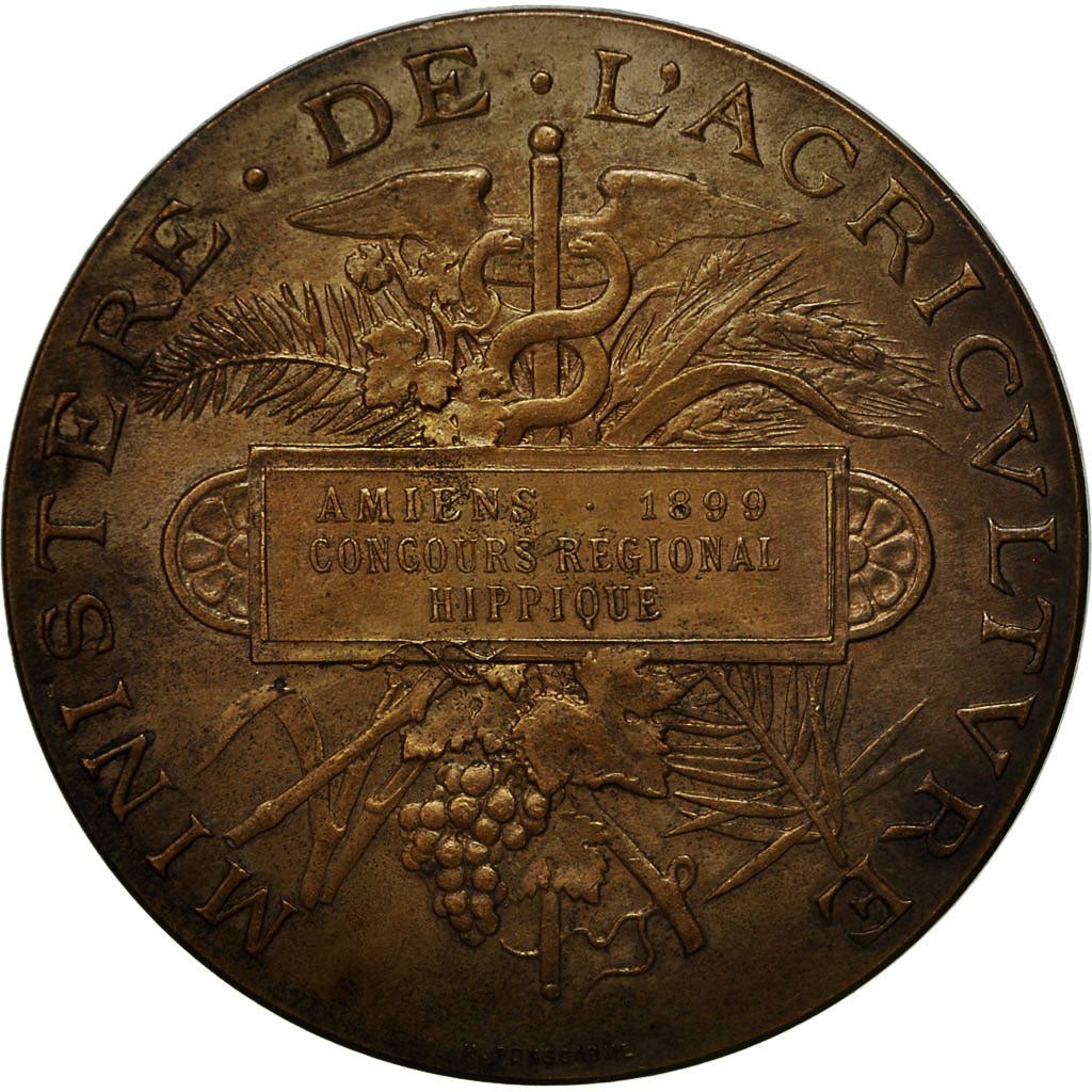 France, Medal, Ministère de l'Agriculture, Concours Hippique, Amiens, 1899