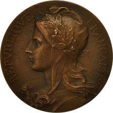 Francia, medalla, Marianne, Société d'Agriculture de Saint pol, 1909, Rasumny