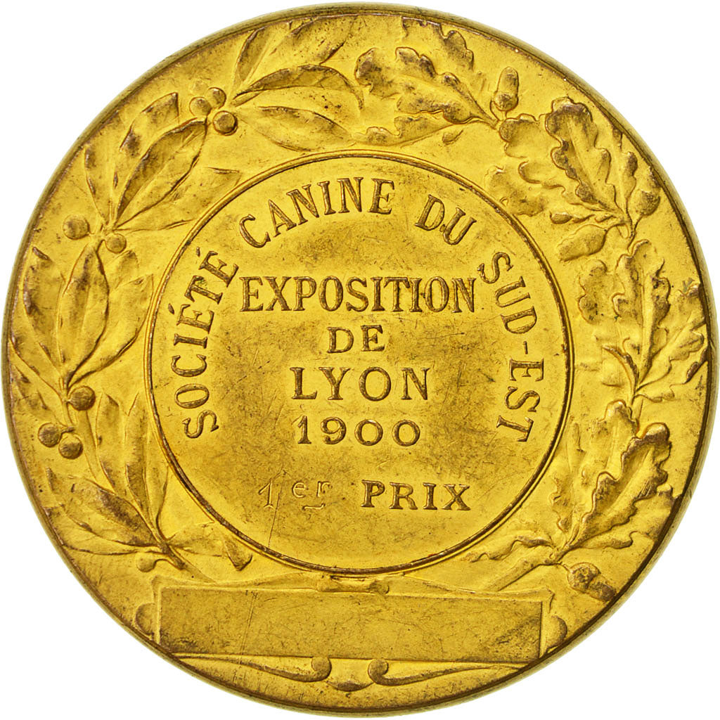 France, Médaille, Société Canine du Sud est, Exposition de Lyon, 1900, Rives