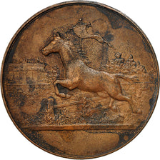 France, Medal, Cheval, Société d'Agriculture de St Pol, 1901, EF(40-45)