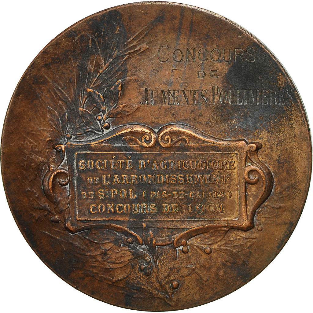 France, Medal, Cheval, Société d'Agriculture de St Pol, 1901, EF(40-45)