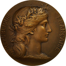 France, Medal, Marianne, Seine et Oise, Dupuis.D, AU(55-58), Bronze