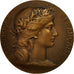 France, Medal, Marianne, Seine et Oise, Dupuis.D, AU(55-58), Bronze