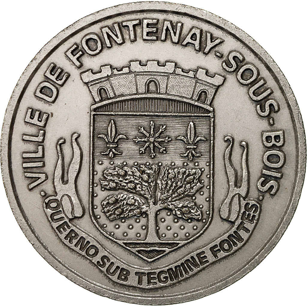France, Medal, Ville de Fontenay-sous-Bois, 1985, AU(55-58), Silvered bronze