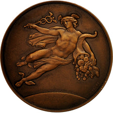 France, Medal, La Prévoyance, Assurances, 1954, Merley, MS(60-62), Bronze