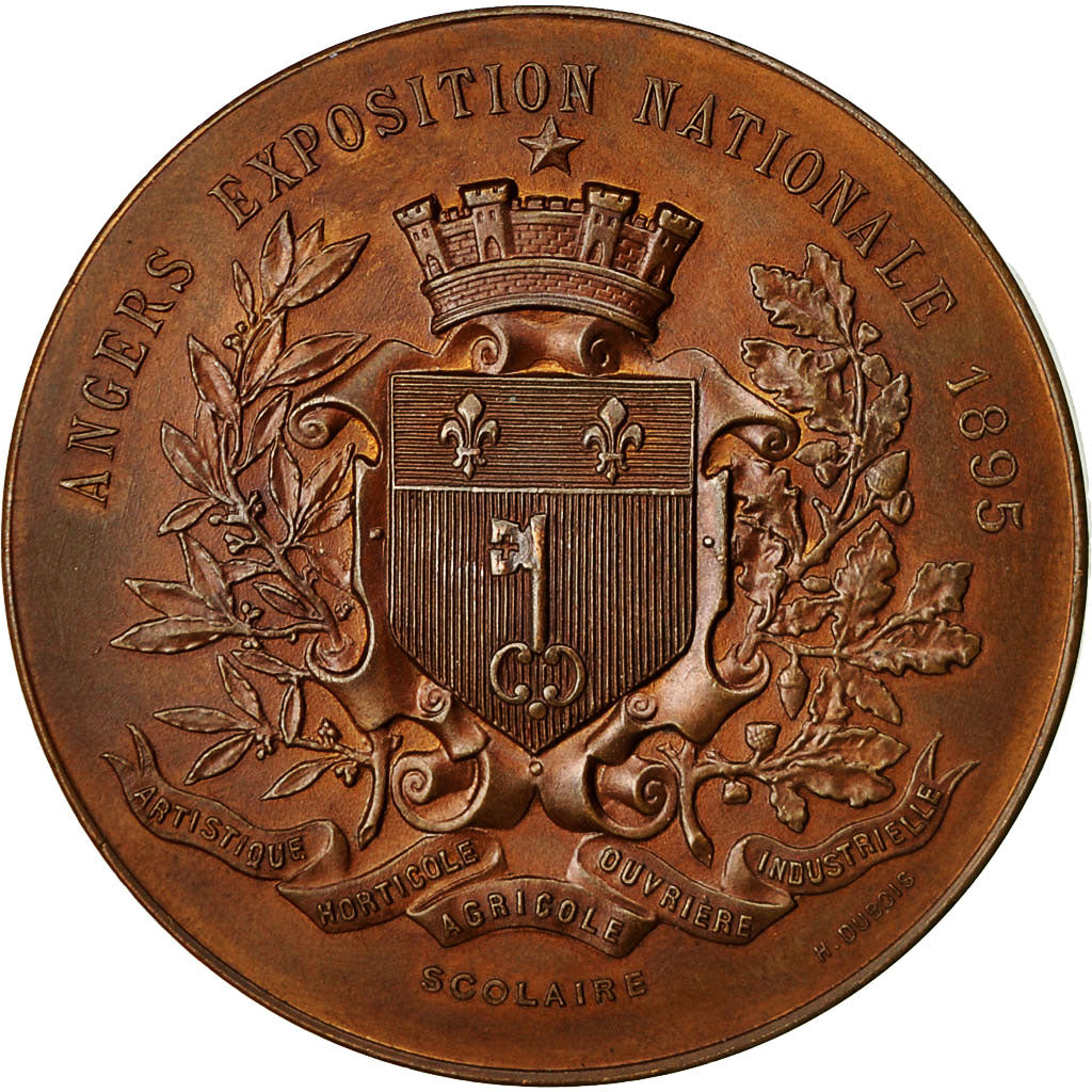 France, Medal, Angers, Exposition Nationale, 1895, Dubois.H, AU(55-58), Bronze