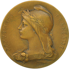 France, Medal, Assistance Publique, Bureau de Bienfaisance, Paris, 1929, Roty