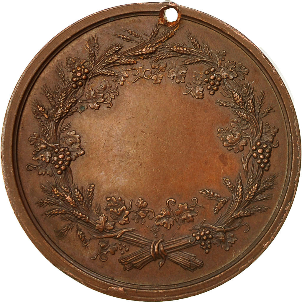France, Medal, Comice Agricole d'Avallon, AU(50-53), Copper