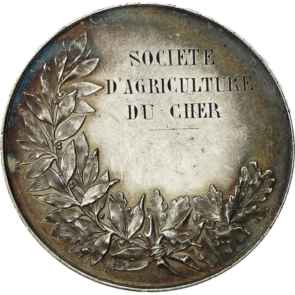 Grande médaille en bronze représentant un mouton - un agneau (ref 4573) - France