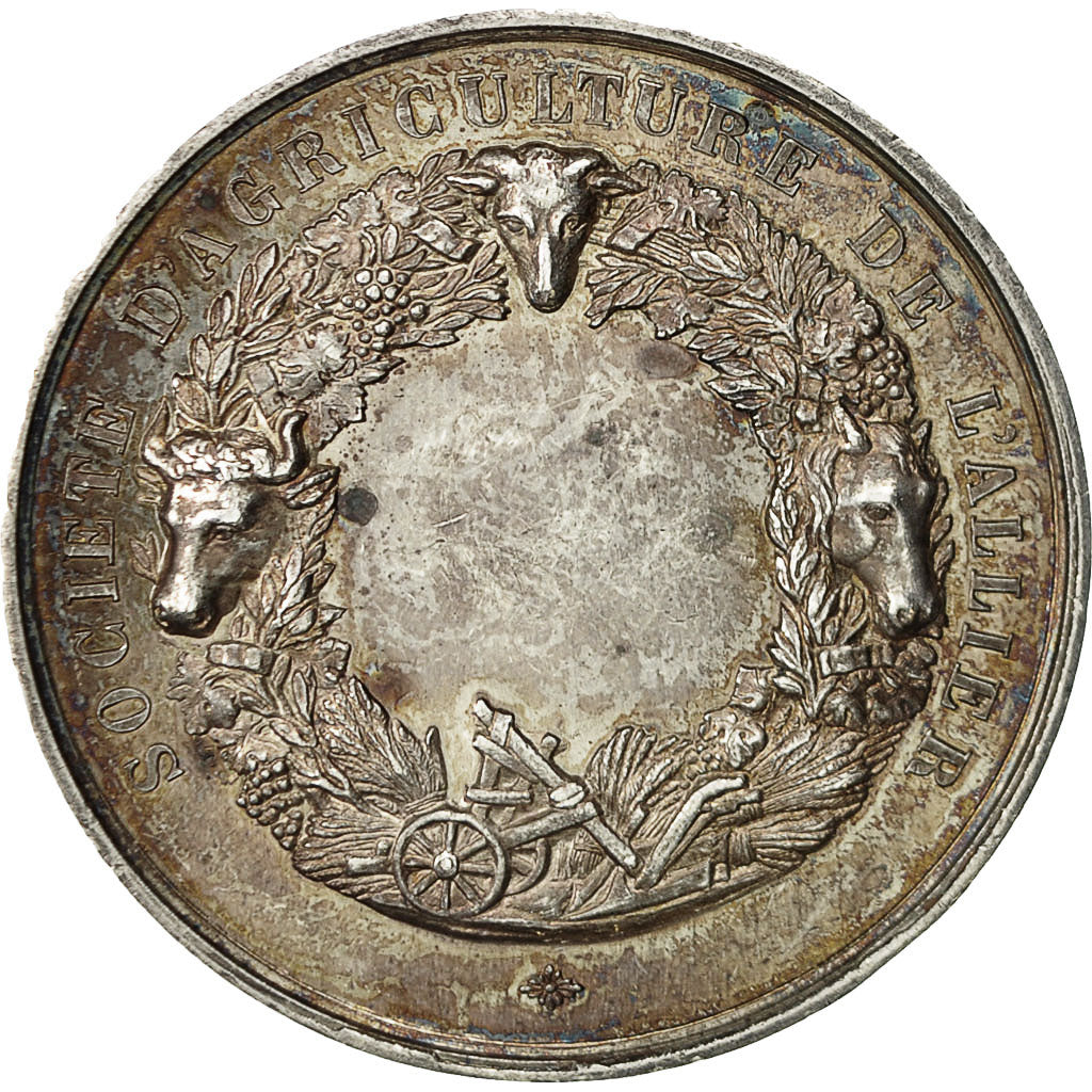 Francia, medaglia, Olivier de Serres, Agriculture de l'Allier, De Longueil