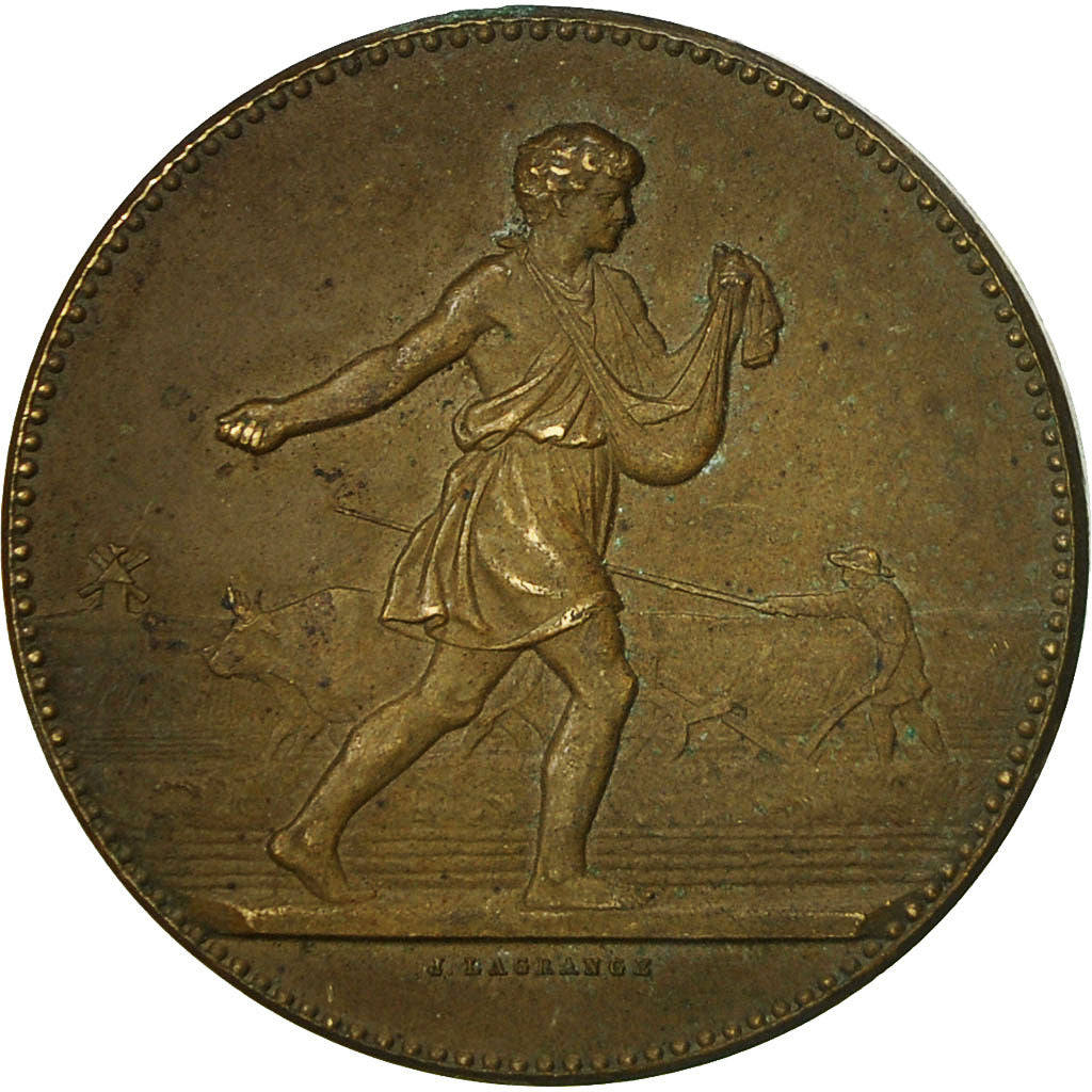 France, Medal, Comice Agricole d'Ernée, Mayenne, Lagrange, AU(50-53), Bronze