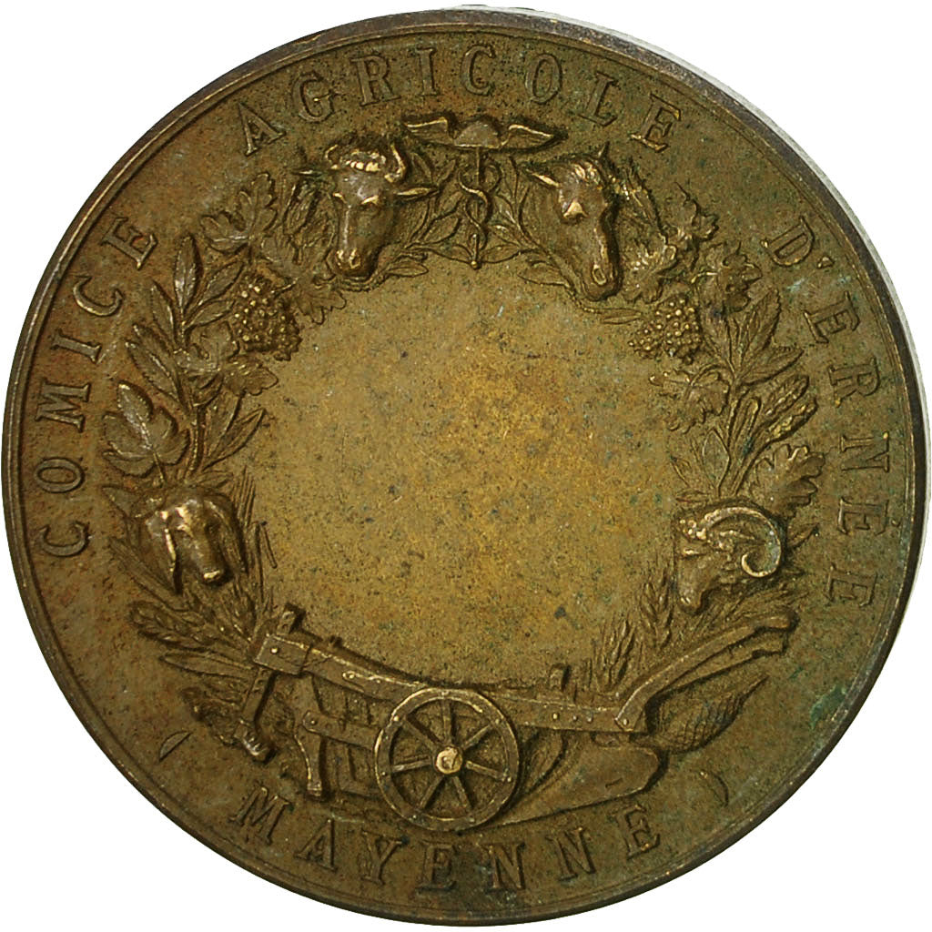 France, Medal, Comice Agricole d'Ernée, Mayenne, Lagrange, AU(50-53), Bronze
