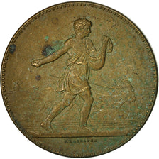 Francia, medaglia, Comice Agricole d'Ernée, Mayenne, Lagrange, MB, Bronzo