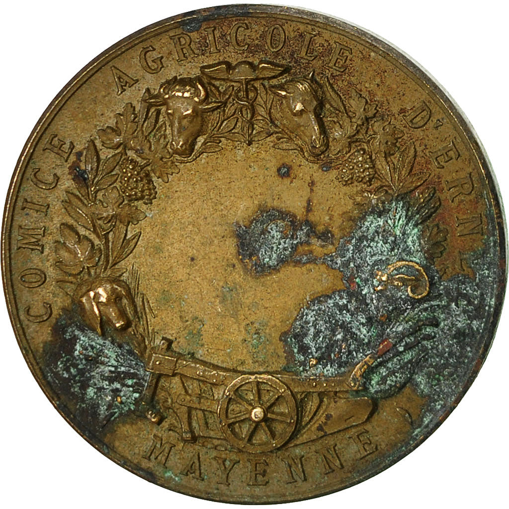 Francia, medaglia, Comice Agricole d'Ernée, Mayenne, Lagrange, MB, Bronzo