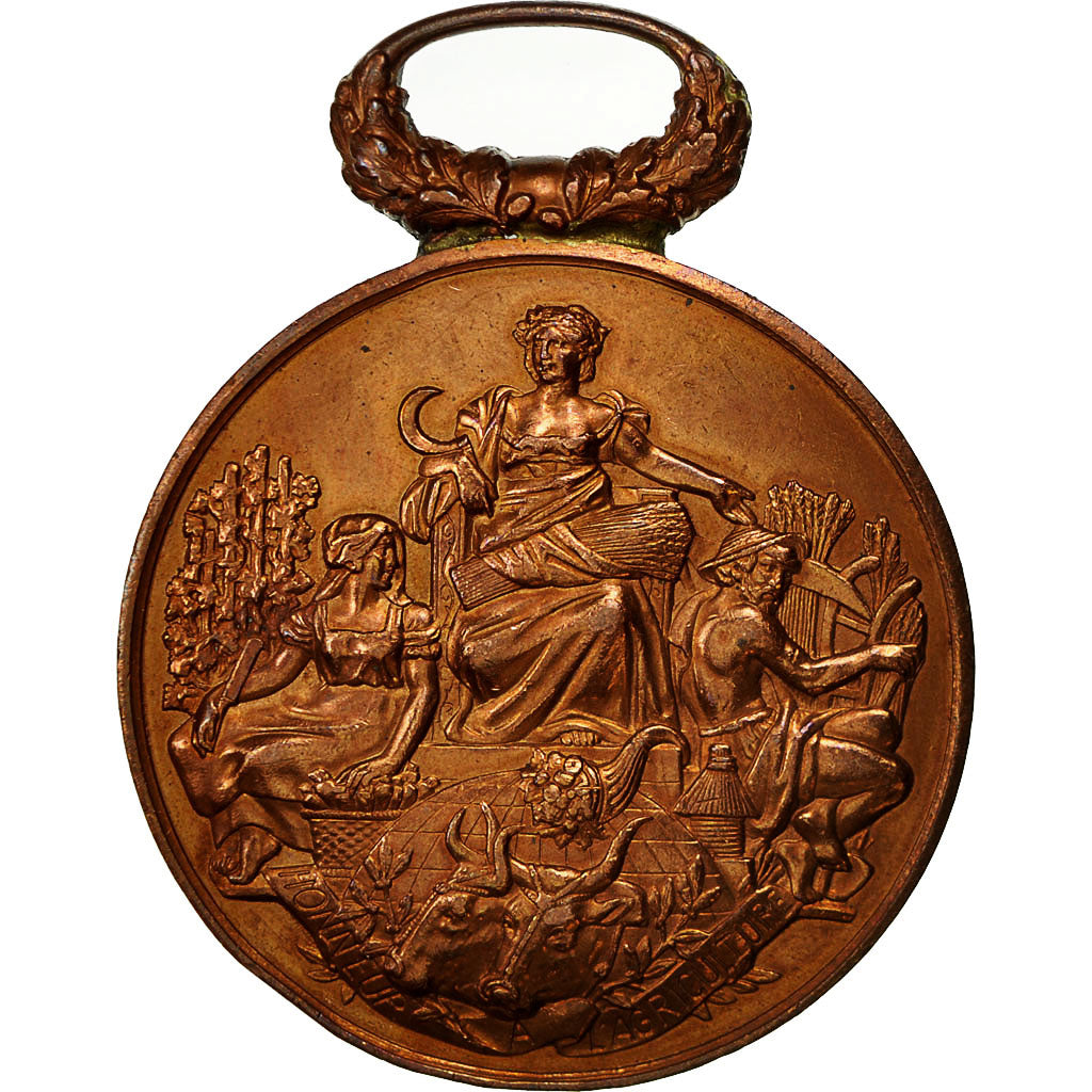 Francja, Medal, Comice agricole de l'arrondissement de Béthune, AU(55-58)