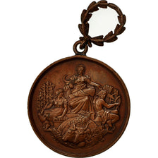 France, Médaille, Société d'Agriculture de Dunkerque, Wormhout, 1888, Vernon