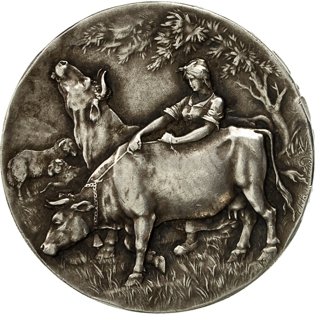 France, Medal, Société d'Agriculture de l'Arrondissement d'Avesnes, Rives