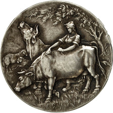 France, Medal, Société d'Agriculture de l'Arrondissement d'Avesnes, Rives