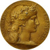 Francia, medaglia, Marianne, Ministère de la Guerre, Dupuis.D, SPL-, Vermeil