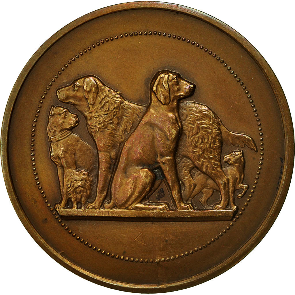 France, Medal, Chiens, Comice Agricole de l'Arrondissement de Béthune