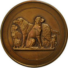 France, Medal, Chiens, Comice Agricole de l'Arrondissement de Béthune