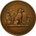 France, Medal, Chiens, Comice Agricole de l'Arrondissement de Béthune