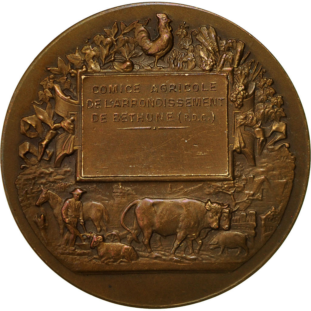 France, Medal, Chiens, Comice Agricole de l'Arrondissement de Béthune
