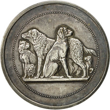 France, Medal, Chiens, Comice Agricole de l'Arrondissement de Béthune, MS(63)