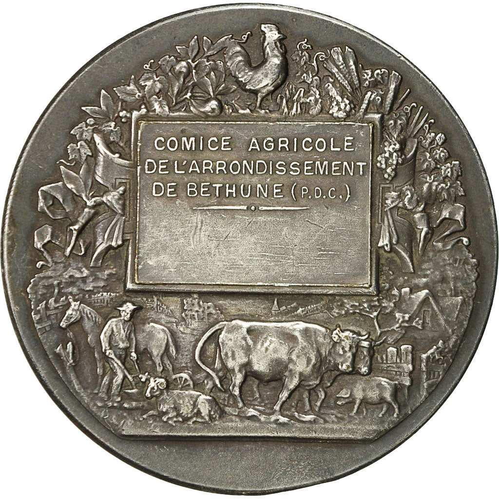 France, Medal, Chiens, Comice Agricole de l'Arrondissement de Béthune, MS(63)