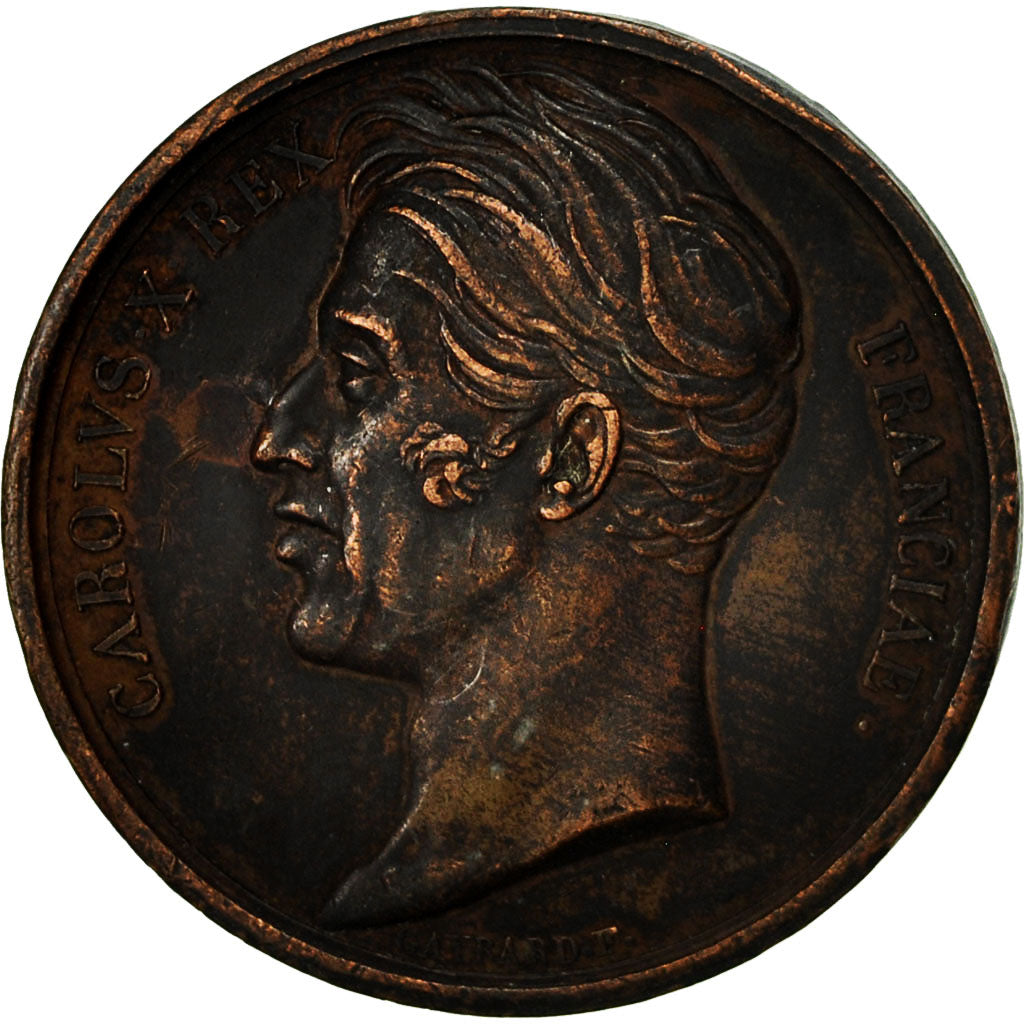 Francia, medaglia, Charles X, Visite à Amiens, 1828, Gayrard, BB, Rame