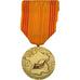 France, Insigne du Réfractaire, Médaille, Non circulé, Hollebeck, Gilt